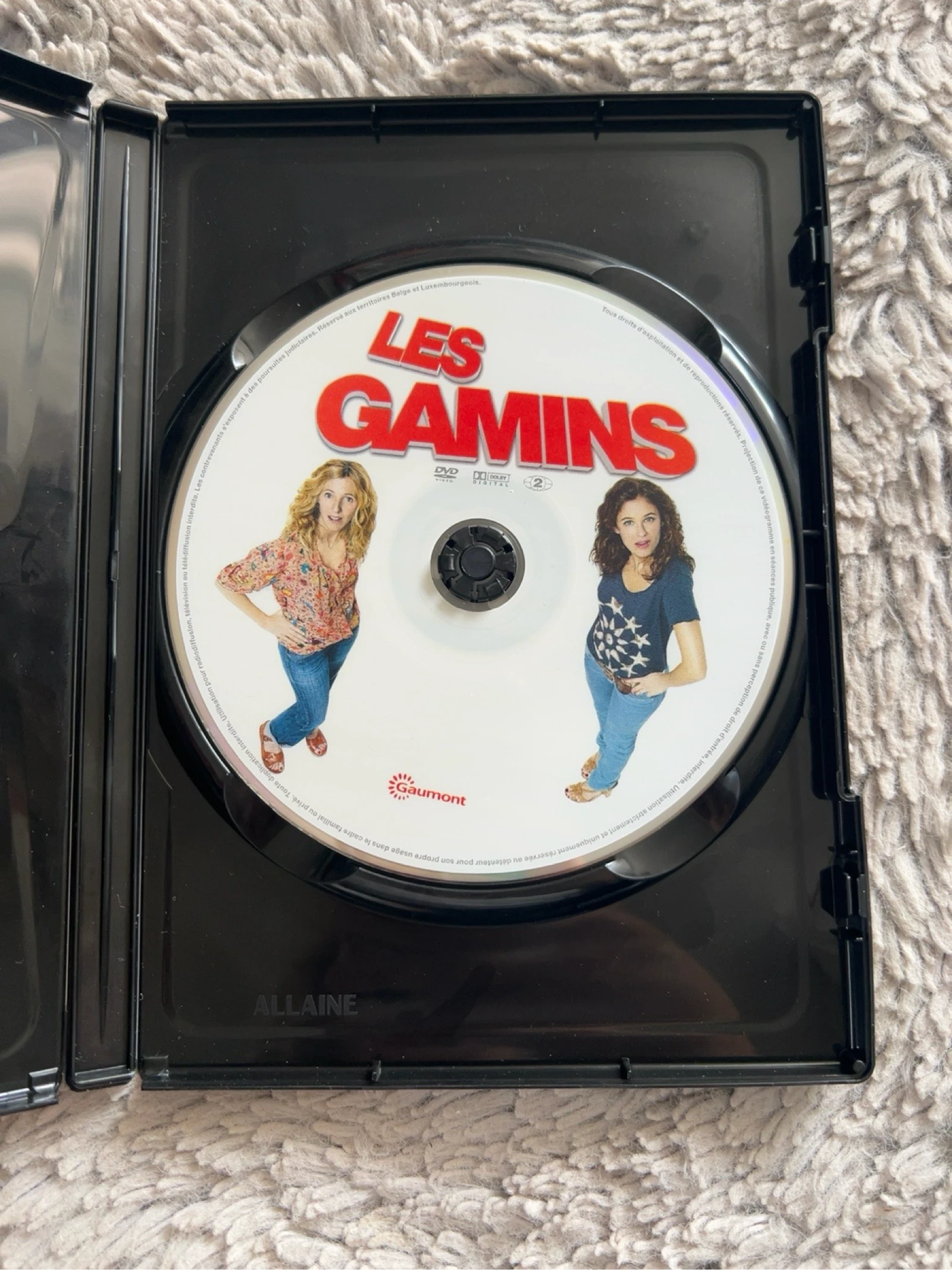 DVD Les Gamins – Alain Chabat, Max Boublil – Comédie française – Très bon état – photo 3